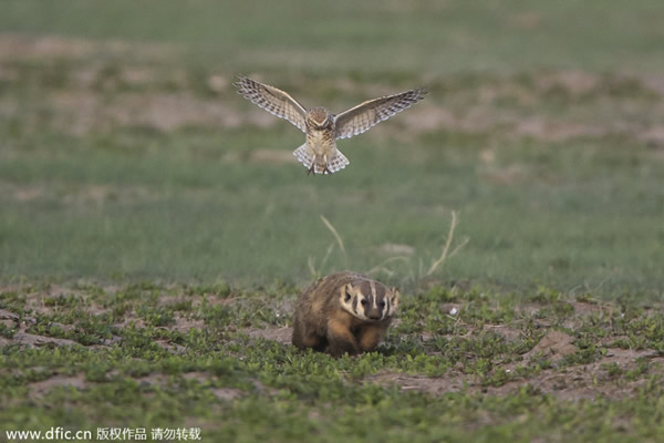 �����ϴ�����ݶ�ع��ҹ�԰һֻѨ�^�����