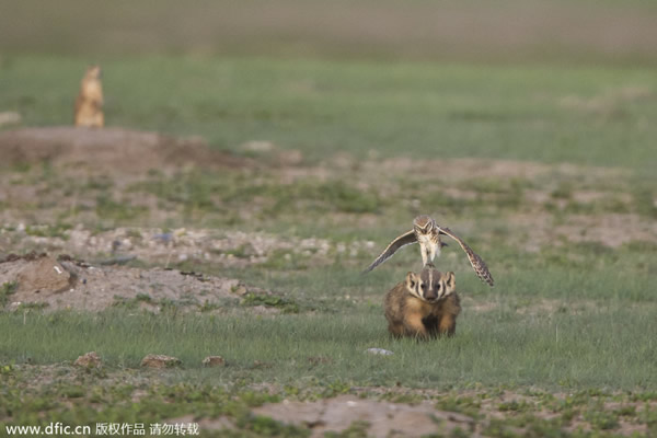 �����ϴ�����ݶ�ع��ҹ�԰һֻѨ�^�����