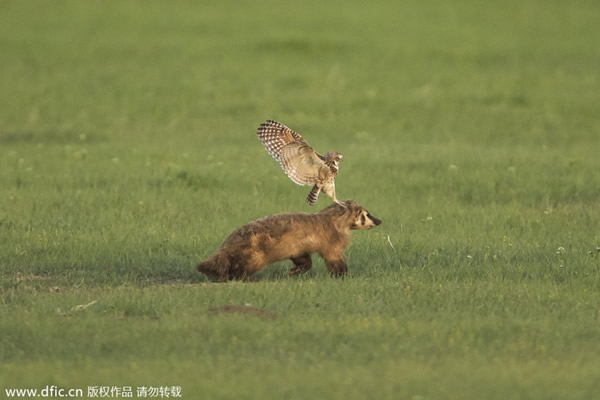 �����ϴ�����ݶ�ع��ҹ�԰һֻѨ�^�����