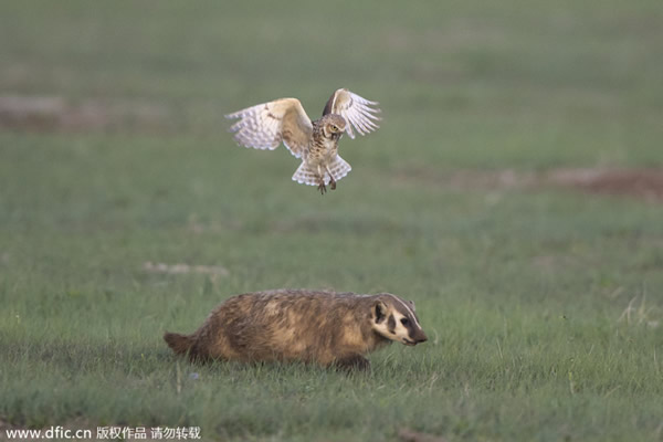 �����ϴ�����ݶ�ع��ҹ�԰һֻѨ�^�����