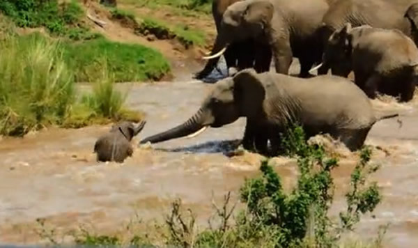 С���ձ���ˮ���� ��������ͦ�������