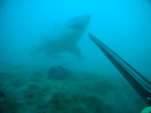 ����ǱˮԱ���������������� ��ǹ��5���ո���