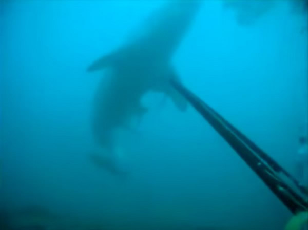 ����ǱˮԱ���������������� ��ǹ��5���ո���