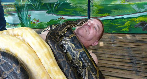 菲律宾动物园出奇招,用5米长的巨蟒为游客按摩