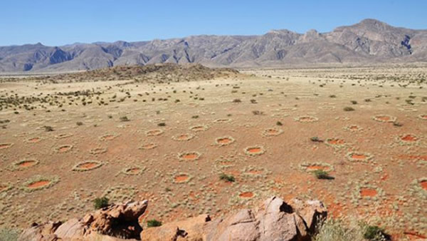 �������ϲ����ԭ���ء���ŮȦ��