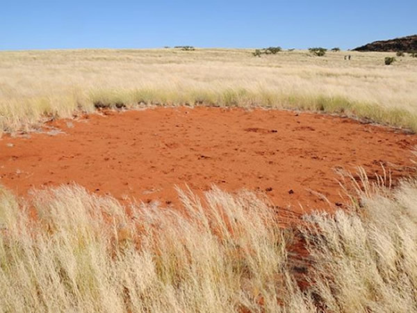 �������ϲ����ԭ���ء���ŮȦ��