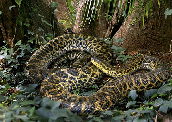 Τǰֹ6о޹֡λӢðռ׼7