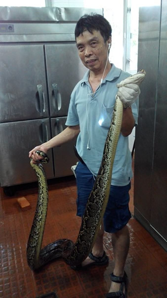 �������������ܻ�