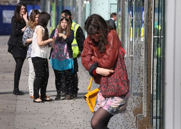 5ǧ�۷�Ϯ��Ӣ���׶�