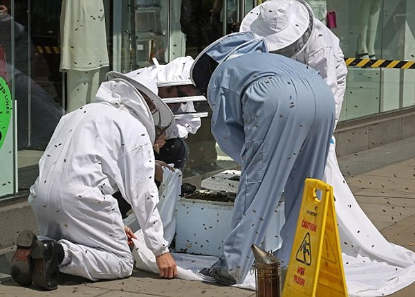 ר�ҵ������۷䲶׽