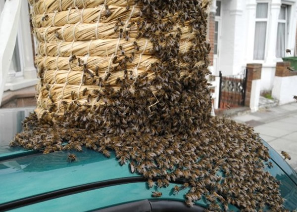 ���տ��Ϻ������д����۷��û��ռ�ݳ��ԡ�