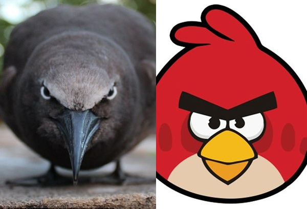 ӡ���󵺹�ë����˹������Ÿ�ǡ���ŭ��С��ԭ�ͣ�