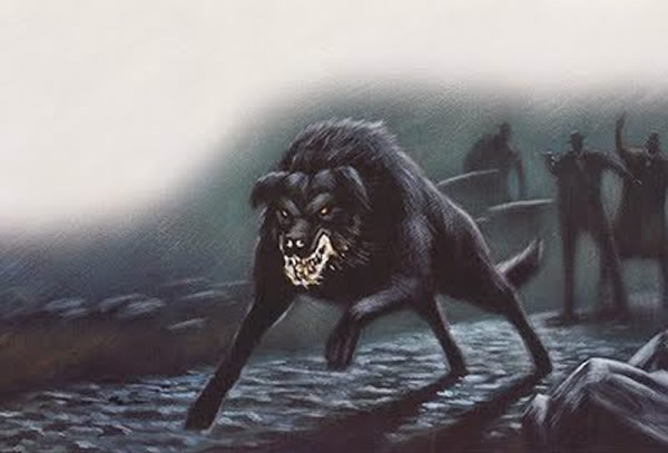 Ӣ����Ĺ�����Ȯ���� �����Ǵ�˵�еġ���ħ����(Black Shuck)����