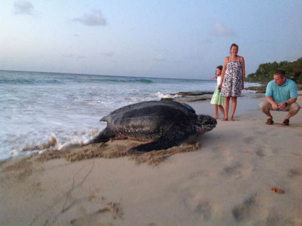 ����ʥ��������̲һֻ�޴󺣹괳��һ�����˵Ļ���