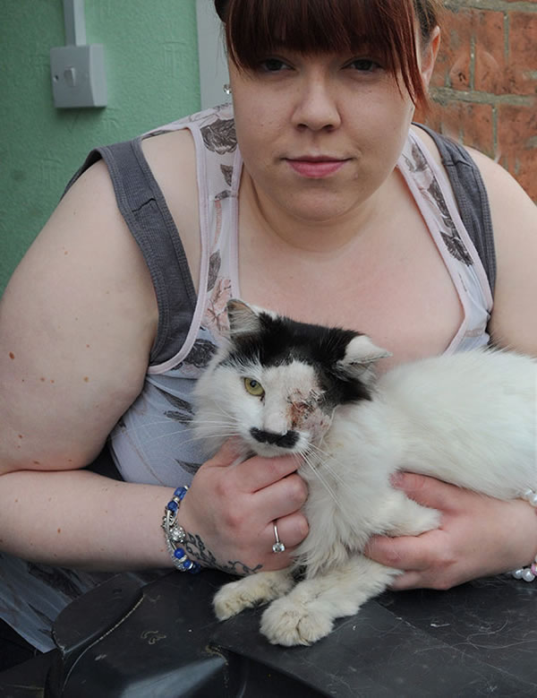 Ӣ��һֻèֻ�򳤵���ϣ���ա���Ź��ʧȥ����