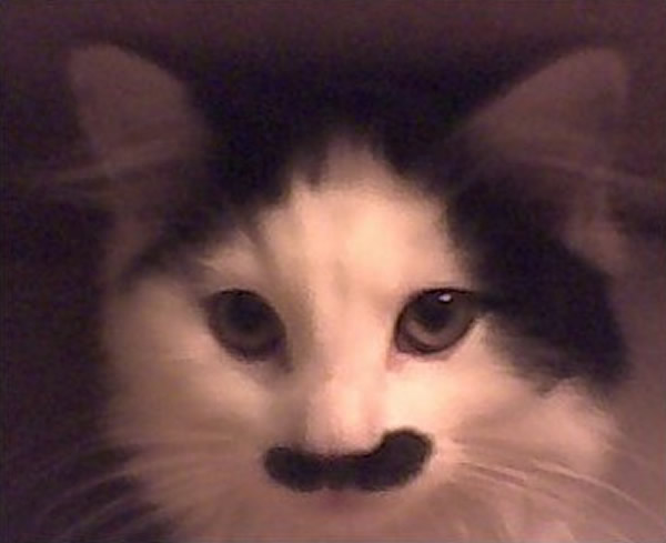 �����ȡ�ԭ����ģ��