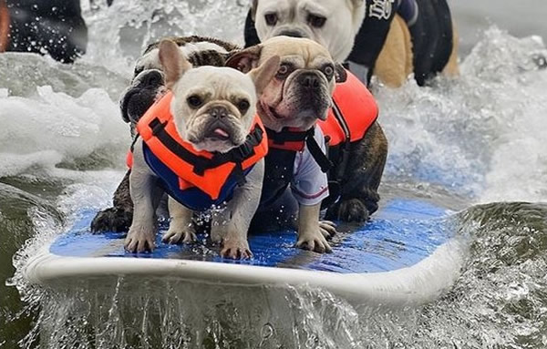 �ù���ѧϰ���ˣ�˿����������ࡣ