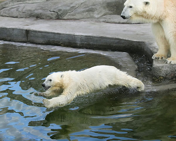 ���걱���ܸ���ĸ��ѧϰ��ˮ�������