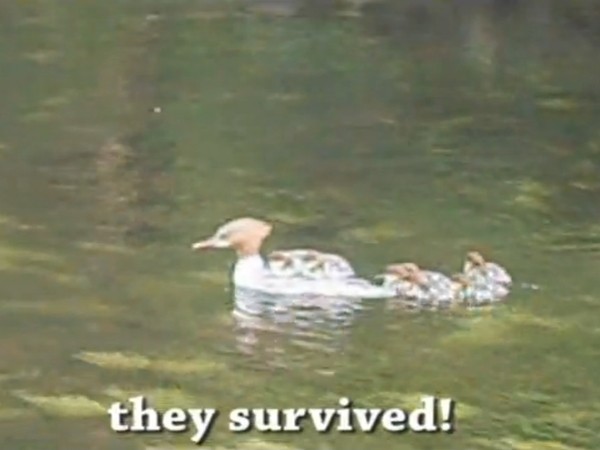 ������ˮ���󣩶������忴��������ˮǰ���ң�û��̫����