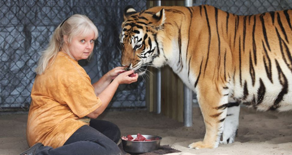 它们在珍妮丝·海莉位于佛罗里达州达文波特市郊区家中的花园里已生活了好几年