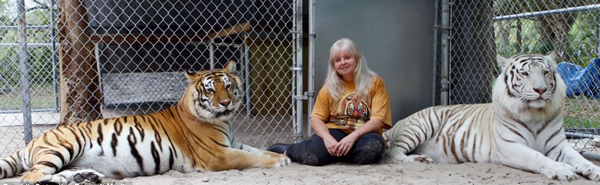 对珍妮丝来说,它们也像她毛茸茸的大孩子