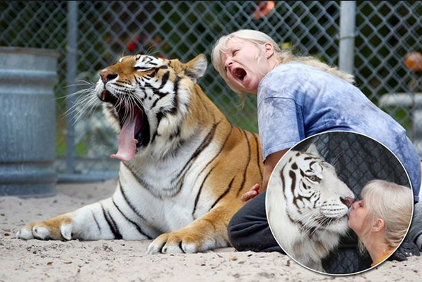 20年前,珍妮丝在当地报纸上看到了一则老虎培训课程广告,从此改变了她的生活