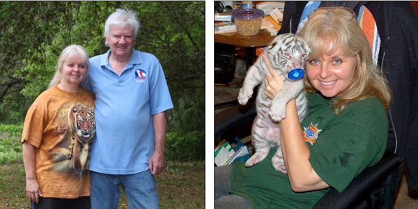 珍妮丝和她的丈夫戴维负责这两只老虎的饮食起居,每天从凌晨1点到晚上11点,他们要喂这两只老虎三次