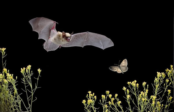 ����ʳ�ɶ�˲��