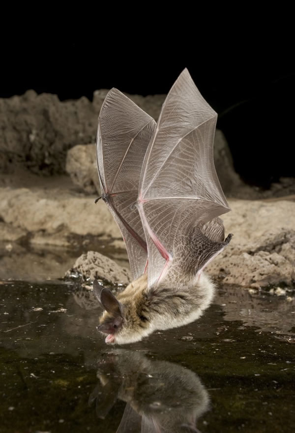 ���������ˮ˲��