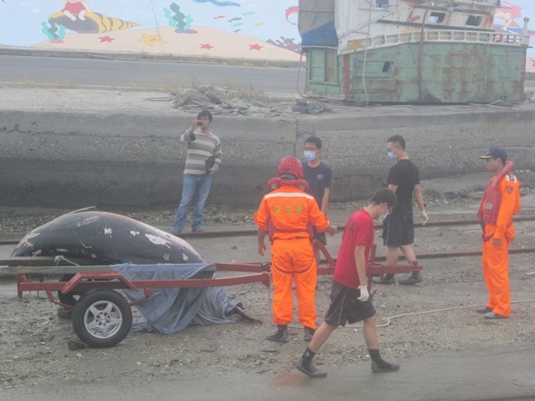 ��Ѳ���ע������̬������������ǳ�ľ�����������ʾ��ͼ�����ǵ��¸�ǳĨ�㾨��