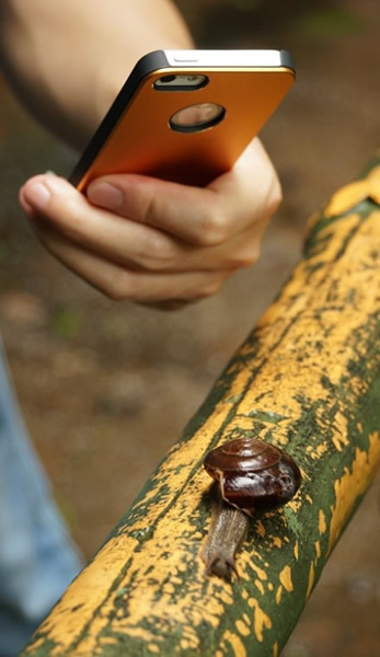 ˶�����ţ���ֱ��3���׵�5���ײ���