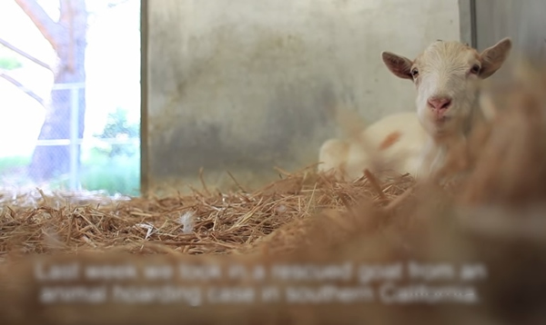 G先生(图)与好友分隔异地,显得闷闷不乐。