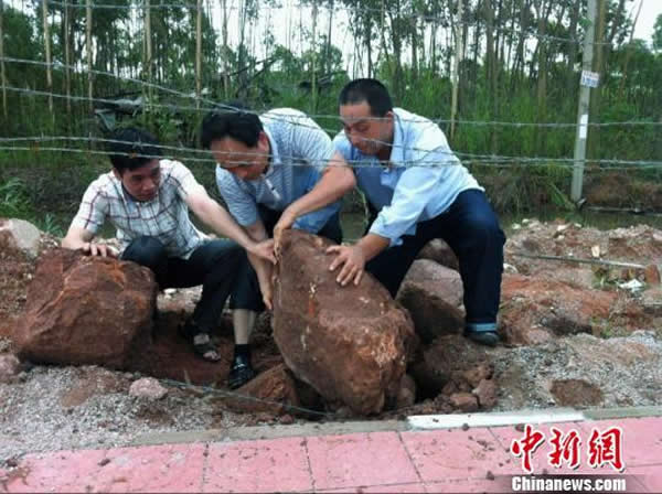 广东河源发现扁形古生物骨骼化石