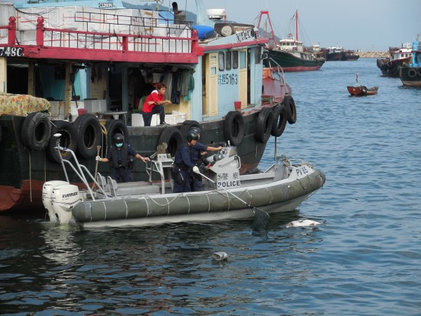香港长洲海面发现海豚尸体