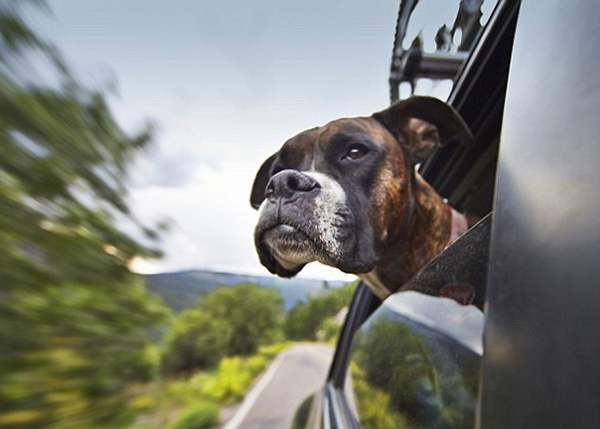 �������������ȹش���������ʡ��