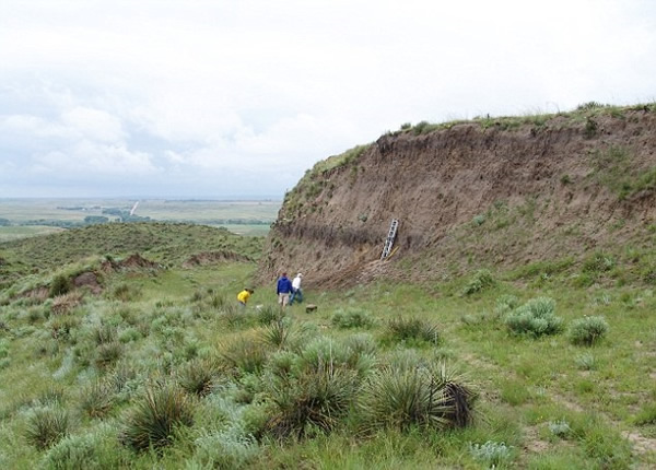 �о�Ա�ռ�Զ���������о�