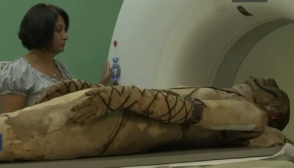 �������ԱΪľ�������е��Զϲ�ɨ��