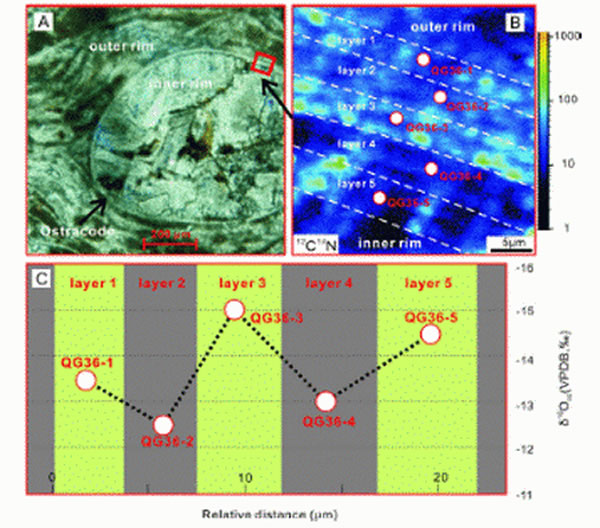 ���γ滯ʯ����΢����ͬλ�ر仯�������������γ�ǻ�ʯ��ͬλ��û���ܵ����ڳ������õ�Ӱ��