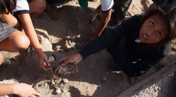 ������ѧ����һ�ѹ����·���7ǧ����ʷľ����