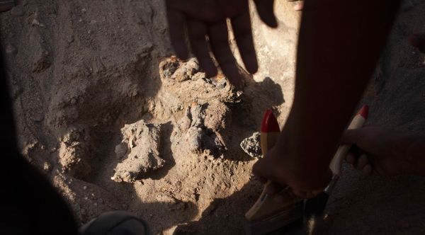 ������ѧ����һ�ѹ����·���7ǧ����ʷľ����