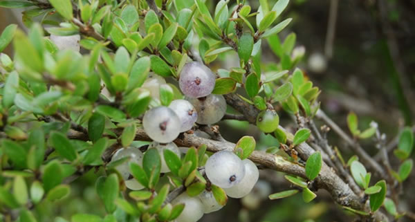 ����������ֲ���������������