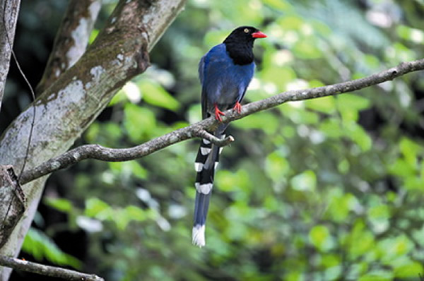 ̨����ȵ�ڷ�ֳ���������Ļ�����������Ϊֻ�Ƕ��ڡ�