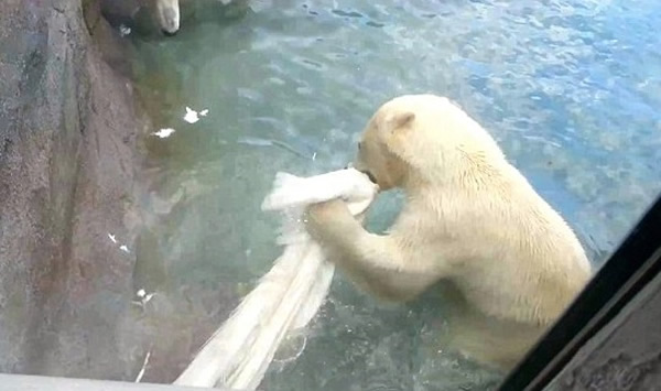 ��������ҧ����ˮ�еĿ�ȸ