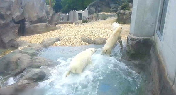 �µ�������԰��������ʳ��ȸ