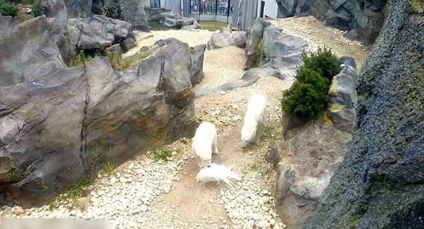 �µ�������԰��������ʳ��ȸ