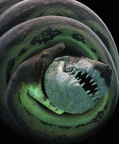 6000万年前4.8米长鳄鱼与17米长巨蟒相遇在雨林中 场面十分惊人