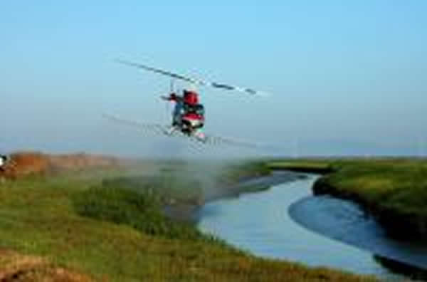 在加利福尼亚州的旧金山湾,直升机在入侵互花米草上喷洒除草剂。