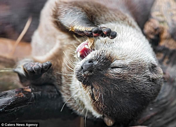 ��ʿ���߶���ٳǱ�����԰������Сצˮ̡����ǰ���桱