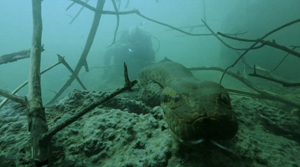 о޹֡(River Monsters)Τ£Jeremy Wadeڰѷӵ˾