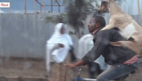 ���ް���������һ�����ӱ����ĵ����ŵ�������ɽ�����